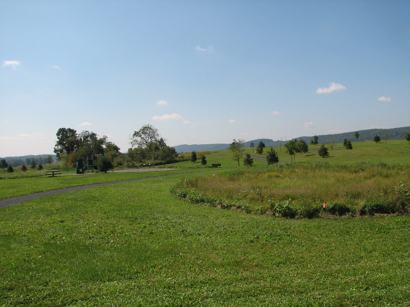 Frequent mowing up to the edge of this marshy vernal pool (on the right) removes protective vegetation and woody debris where vernal pool animals can find food and shelter when they leave the pool. Credit: Betsy Leppo